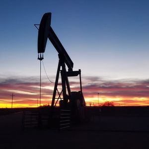 Meet your Posher, Rusty